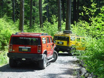 INSPECCION GRAN JARDIN